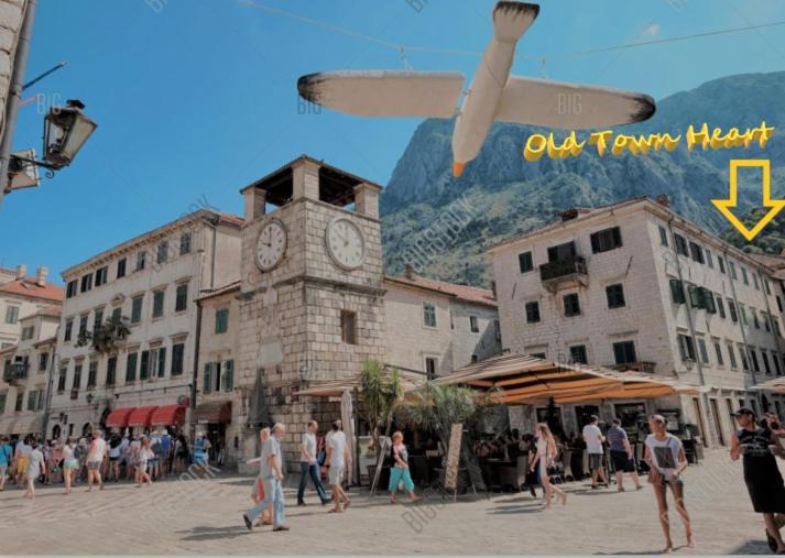 Old Town Heart Apartment Kotor Exterior photo